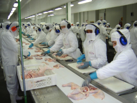 Trabalhadores do setor da carne receberão cartilha da NR 36:es-->Trabalhadores